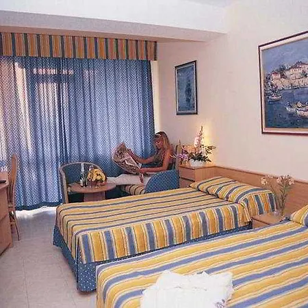 Hotel Lebed 4*