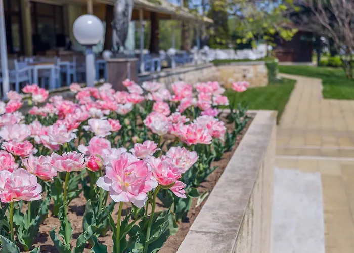 Lebed Sweti Konstantin i Sweta Elena