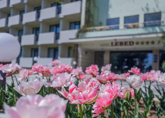 Lebed Sweti Konstantin i Sweta Elena